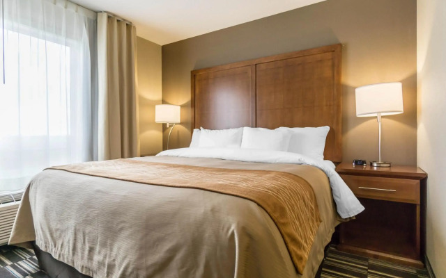 Comfort Inn & Suites Edmonton International Airport