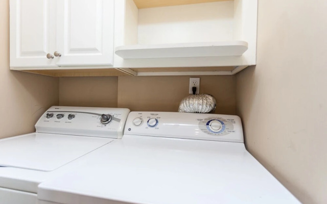 Colony Reef by Vtrips