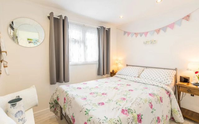 Host Stay The Happy Hedgehog