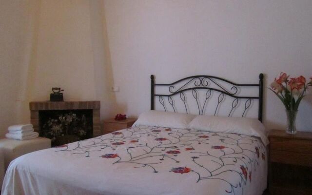 Concava Camp