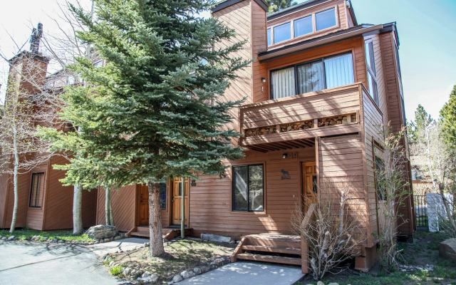 Snowflower #49 Condo