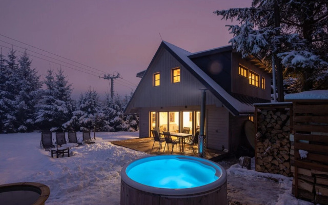Villa in Dolni Branna With Sauna