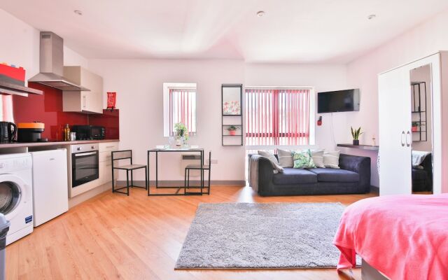 Princess Lofts Studios - Swansea City Centre