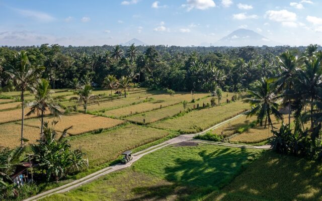 Sacred Canyon Ubud by Pramana Villas