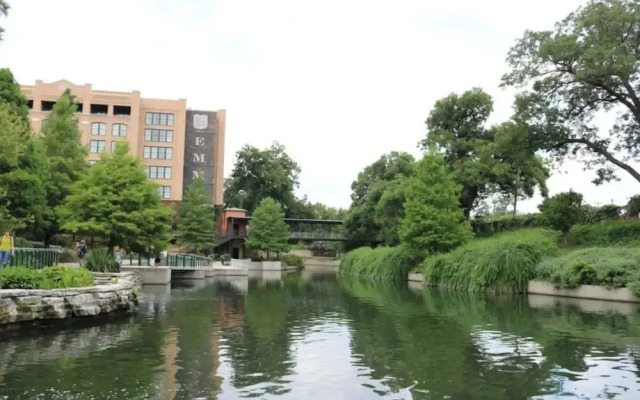 Your Amazing 3br/2ba Downtown Delight!