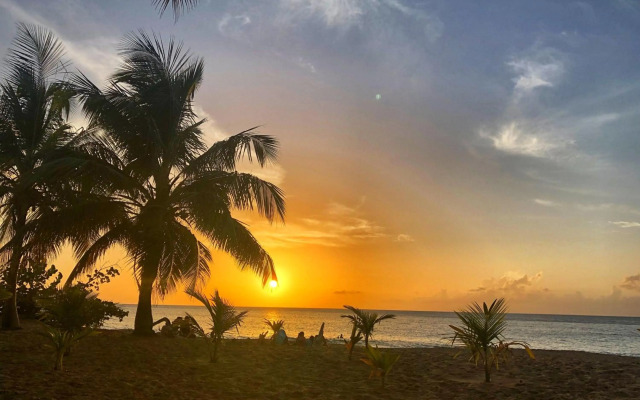 O Coeur de Deshaies Appartements Grande Anse et Amandiers