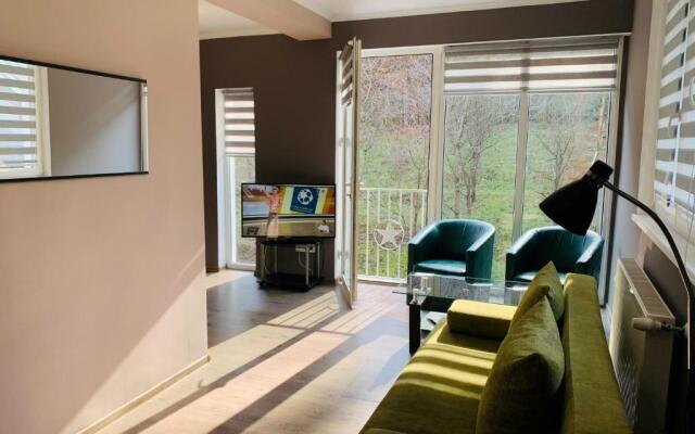 Luxury Modern Apartments
