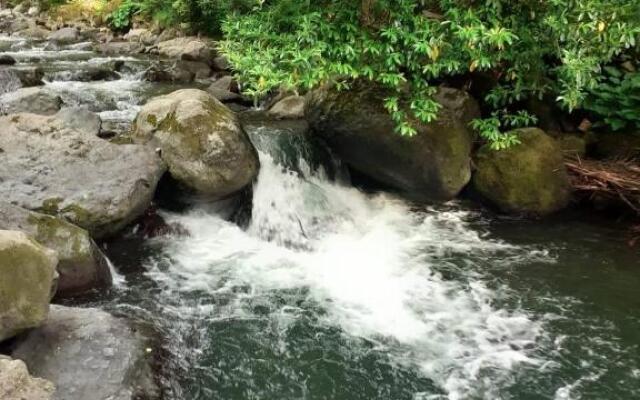 Guest House - Green Space