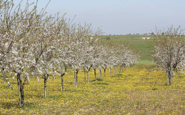Masseria Torre di Nebbia