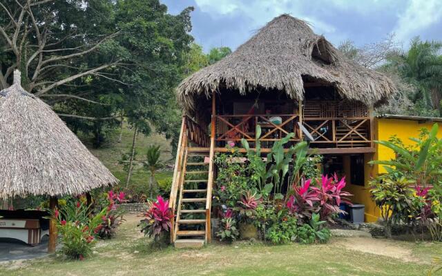 Posada Ecoturistica Palmares Del Rio