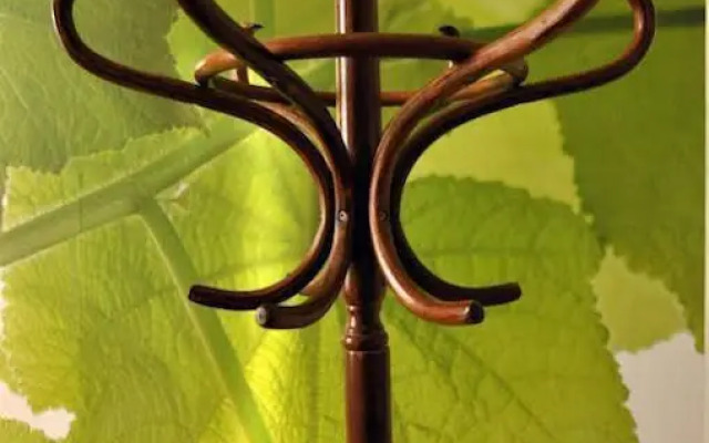 Mandragora