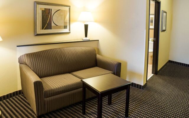 Holiday Inn Express Rochester South - Mayo Area by IHG