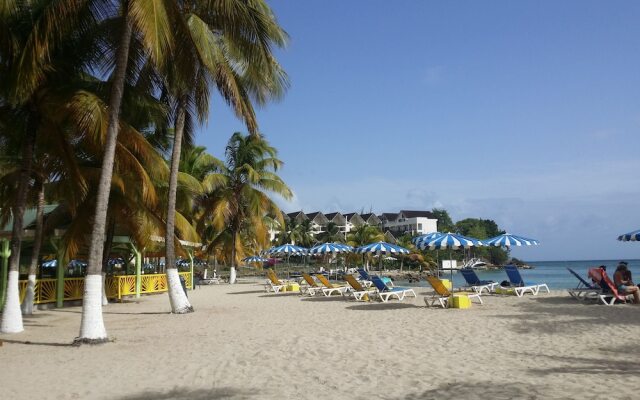 Appartement D'Zil