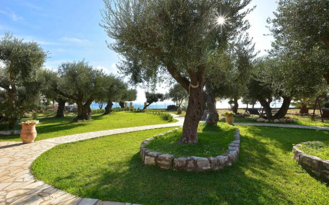 Renata Rooms & Studios