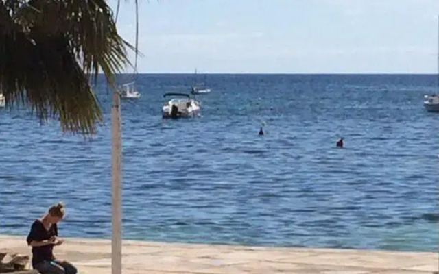 Los Cedros