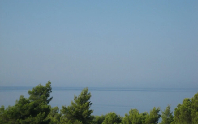 Seapine Studios