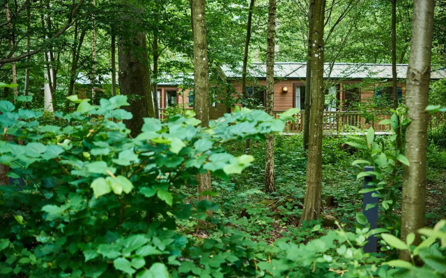 Disney Davy Crockett Ranch