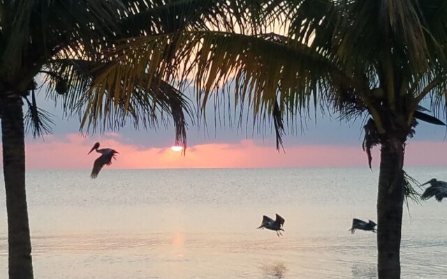 Pal's on the Beach - A Gold Standard Hotel