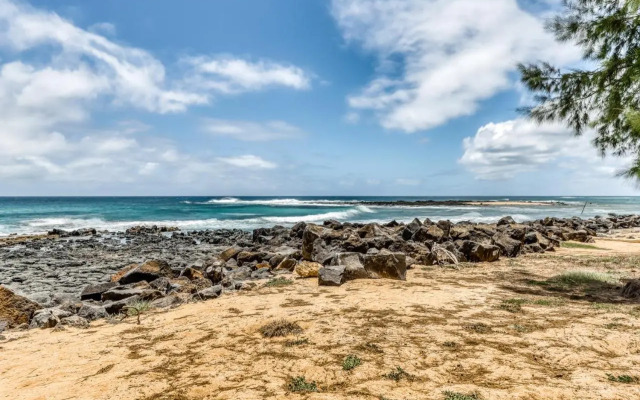 Manualoha 203