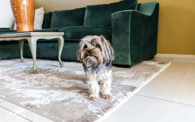 Fleur de Lis Guesthouse