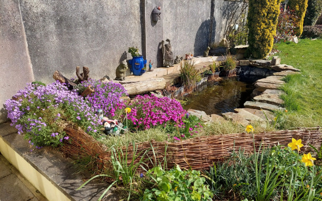 Chynoweth Trelash B&B