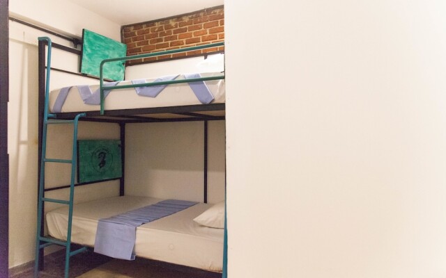 Bunky Monkey - Hostel