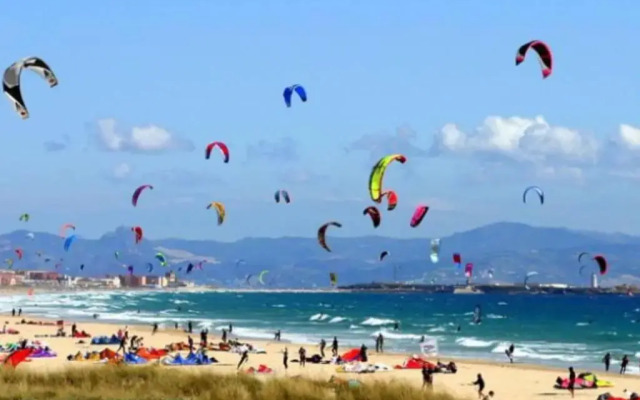 Natural Dream Apartment Blue Wifi