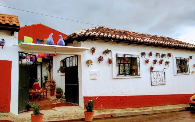 Casa de Las Flores - Hostel