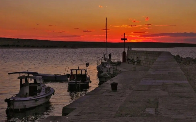 Mario - With Garden - A2