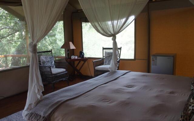 Lion Tree Top Lodge