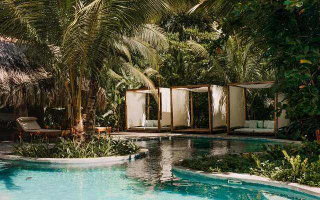 The Resort at Isla Palenque