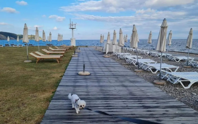Apartmaji Sonček Izola