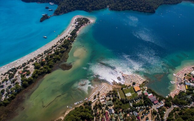 Sea Horse Beach Club