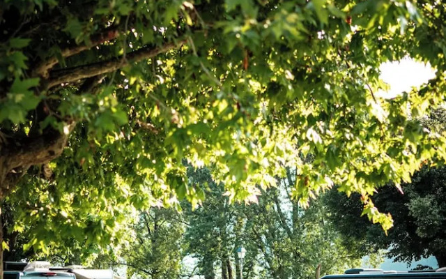 THE CAMP by Maggiore Suites