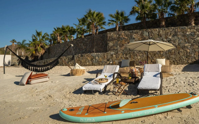 Orchid House Baja & Beach Club