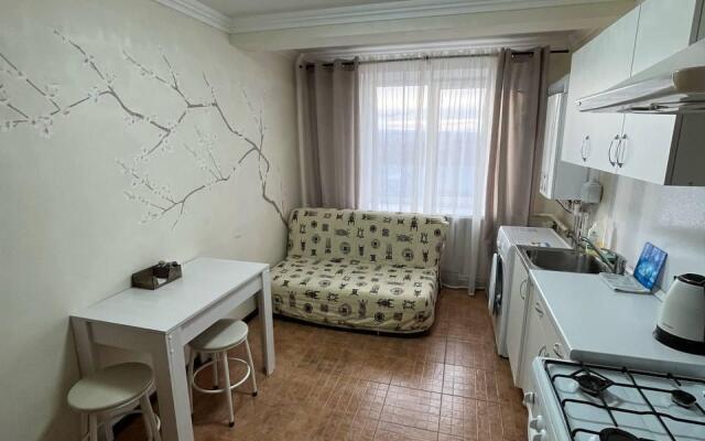 Апартаменты на Кузнечной 8 а