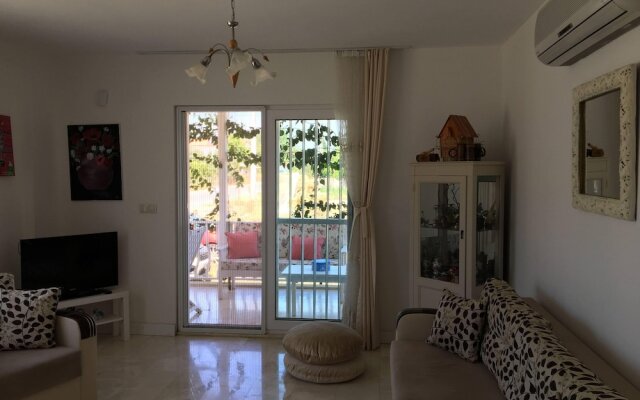 Welcome to Villa Oliva