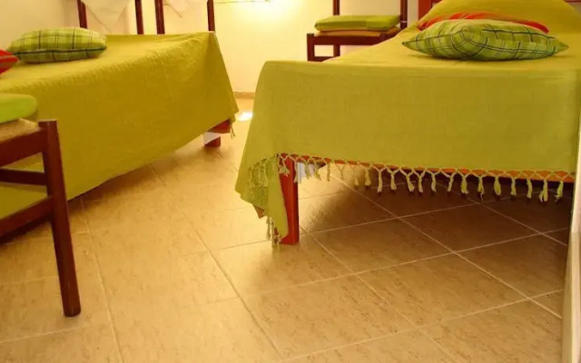 Old Town Petrova Accommodation