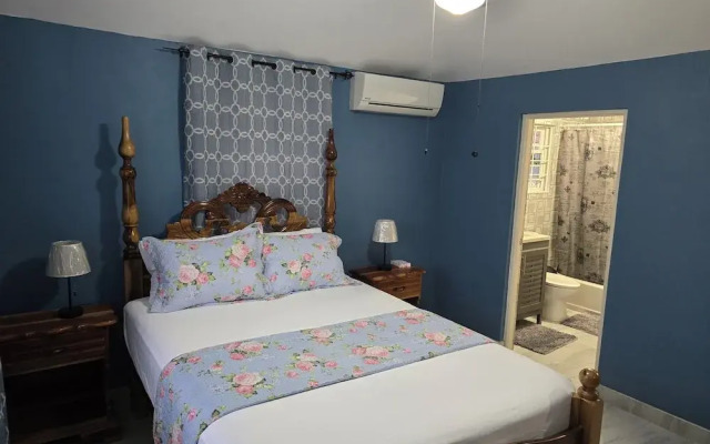 Soleil Paradise Palms