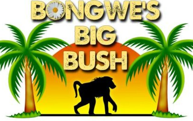 Bongwe's Big Bush