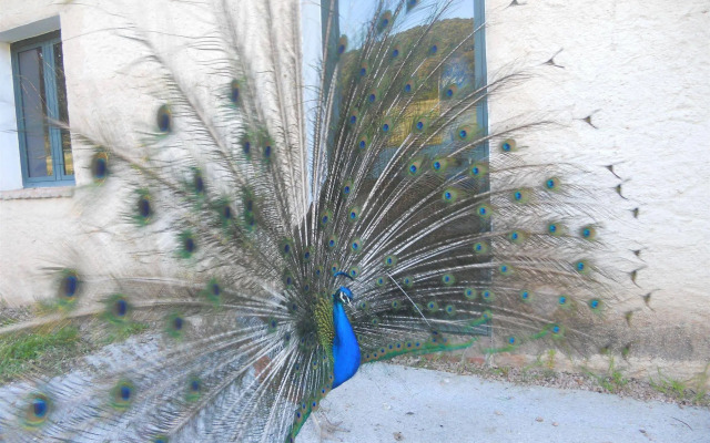 Hotel Glamping Borgo di Campagna