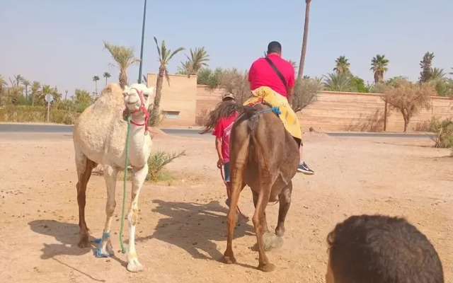 Riad Carole