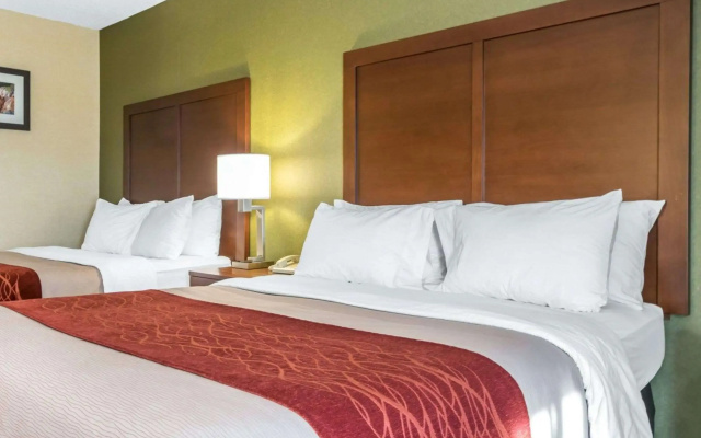 Comfort Inn Winchester