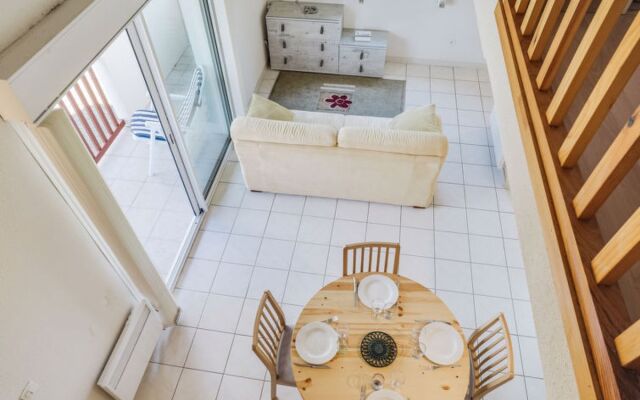 Les écureuils 15691