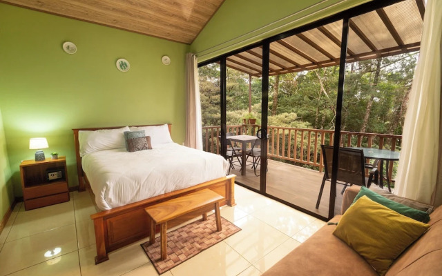 Casas Clusia Monteverde