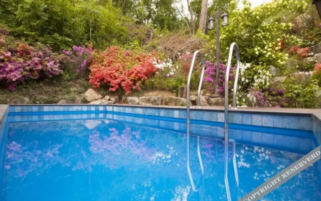 Hongcheon Hill & Dale Pension