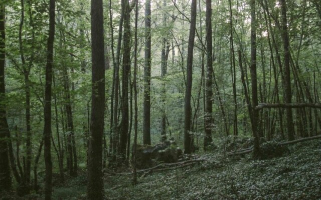 Chambre d'Hôtes Cugnac