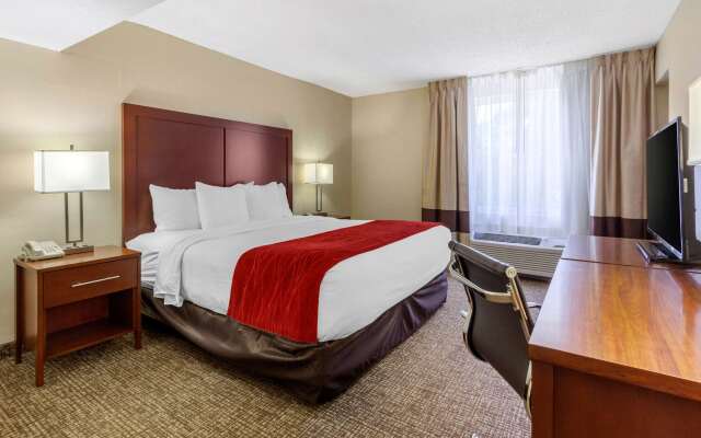 Comfort Inn St Petersburg North