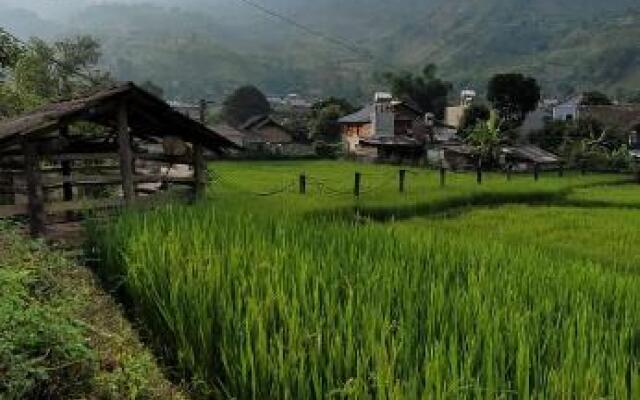 Organic Farm Homestay
