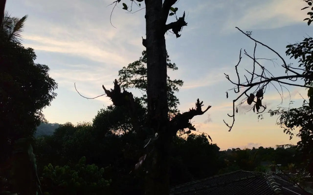 Samurai Homestay